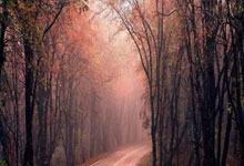 俄罗斯足球的现状与未来发展潜力如何？